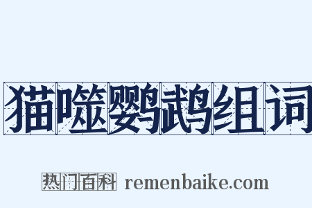 猫噬鹦鹉组词是什么意思的图片